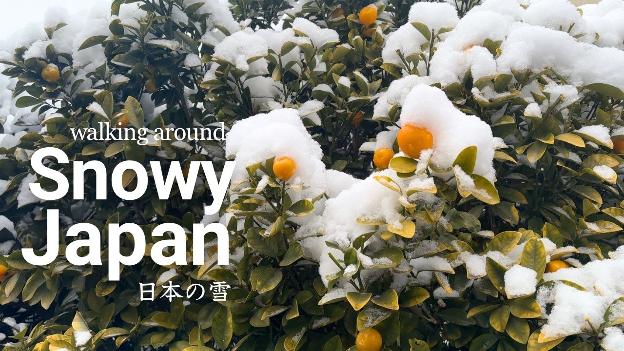 Snowy Japan Walk | Peaceful Winter Stroll & Shrine Visit