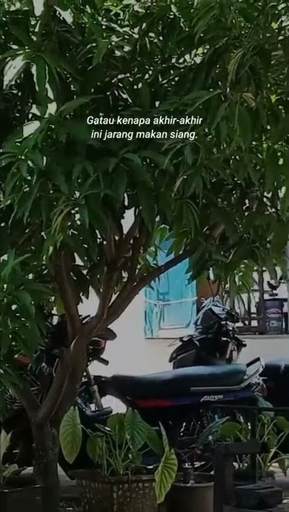 story wa lucu ngakak || pas puasa