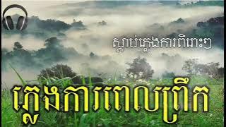 ស្តាប់ភ្លេងការពិរោះៗពេលព្រឹកព្រលឹម