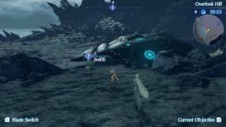 Xenoblade Chronicles 2: Part 160- A Ripe New Frontier
