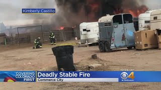 Horse Owners Rush To Burning Barn In North Metro, 8 Horses Killed