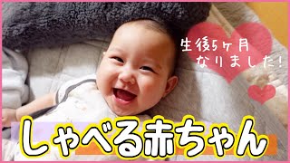 【生後５ヶ月】三女のお気に入りグッズを紹介🦄♩【喋る赤ちゃん！？】