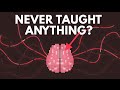 What If You Were Never Taught Anything?