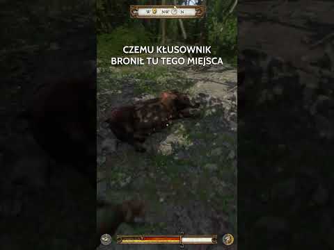 TO MIEJSCE SKRYWA