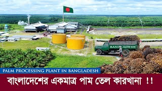 বাংলাদেশের একমাত্র পাম তেল কারখানা !! যা মালয়েশিয়াকেও টক্কর দিবে Palm Processing plant in Bangladesh