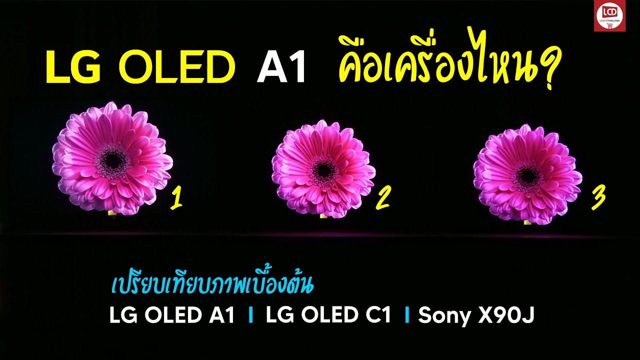 sony oled a1 ราคา  New  เลือกตัวไหนดี !?  LG OLED A1 รุ่นเริ่มต้น , C1 รุ่นกลาง , Sony X90J Full Array LED รุ่นท็อป