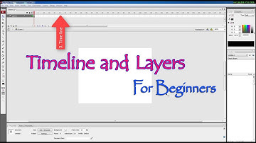 How to use  timeline in Adobe Flash|What is Layer and frames | Time line introduction in Flash CS3