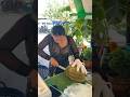 Durian fruit you must try in Thailand #shorts