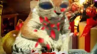 La Ardilla Que Saca El Regalo