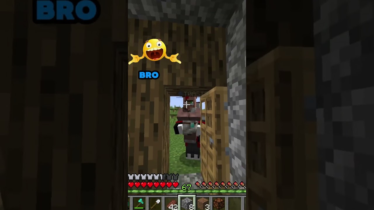 My Villager couldn't take it anymore.