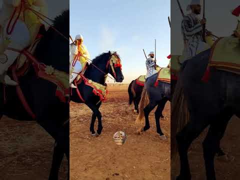 الله يلطف و صافي رجعت فيه المكحلة