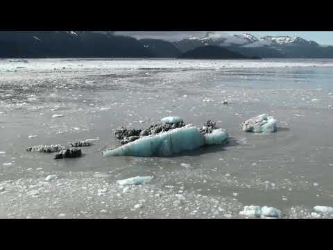فيديو: نهر هوبارد الجليدي في خليج ياكوتات ، ألاسكا