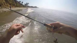 Legal Hali on a Big Hammer Swimbait!