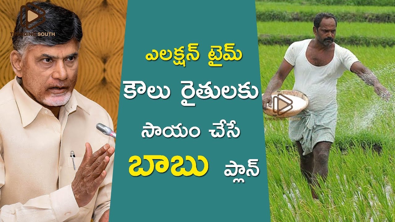 CM Chandrababu Naidu master plan behind Farmers Investment Scheme | Trending South