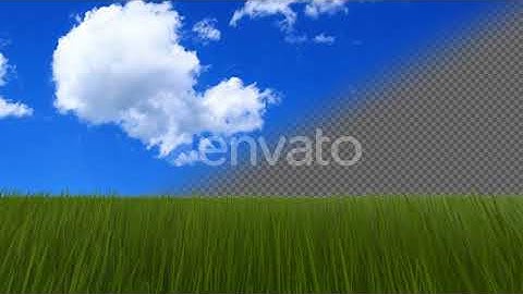 Green Grass Isolated | Motion Graphics - Envato elements