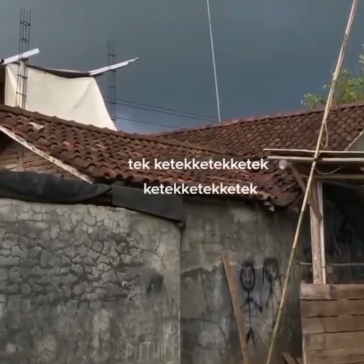 STORY 30 DETIK TERBARU 2023 | STORY WA | STORY FB | STORY IG | kampung yg ga ada ? #latolato dmana