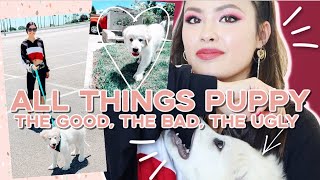 EVERYTHING PUPPY | Bringing Him Home, Puppy Blues, Training, Health, etc! My 1-Month Update