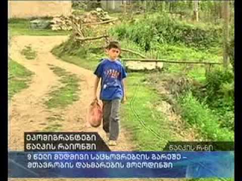 წალკა: ეკომიგრანტების პროტესტი პირუტყვების თანხლებით