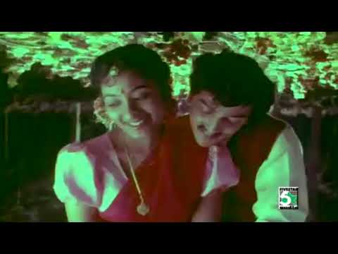 Paarijatha Poove Video Song  En Rasavin manasilae  Ilayaraja