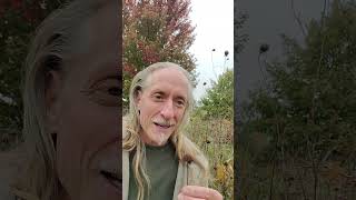 A Wild Food Secret For You