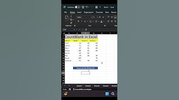 How to Use CountBlank Function in Excel #shorts  #excelformula  #excel
