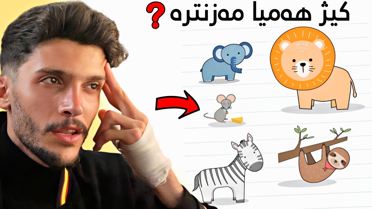 مێشكێ خو بجه‌ربینه‌ دگه‌ل ڤێ لعبا سه‌یر💀🧠Brain Test
