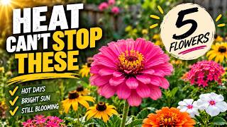The Heat Tried It's Best-These 5 Flowers Held Their Ground