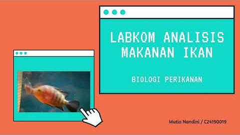 #BiologiPerikanan2021_Makanan Ikan Tutorial Excel Makanan Ikan BIOPER MSP 56 FPIK IPB | C24190019