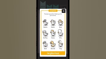 Thumbnail of Neighborhood Set Complete - Clusterduck | Rosie Rayne #shorts