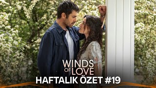 Winds Of Love Weekly Summary #19 | Rüzgarlı Tepe Haftalık Kolaj #19