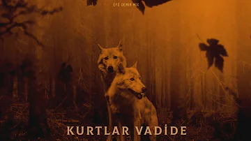Kurtlar Vadide - Efe Demir Mix | Turkish Trap