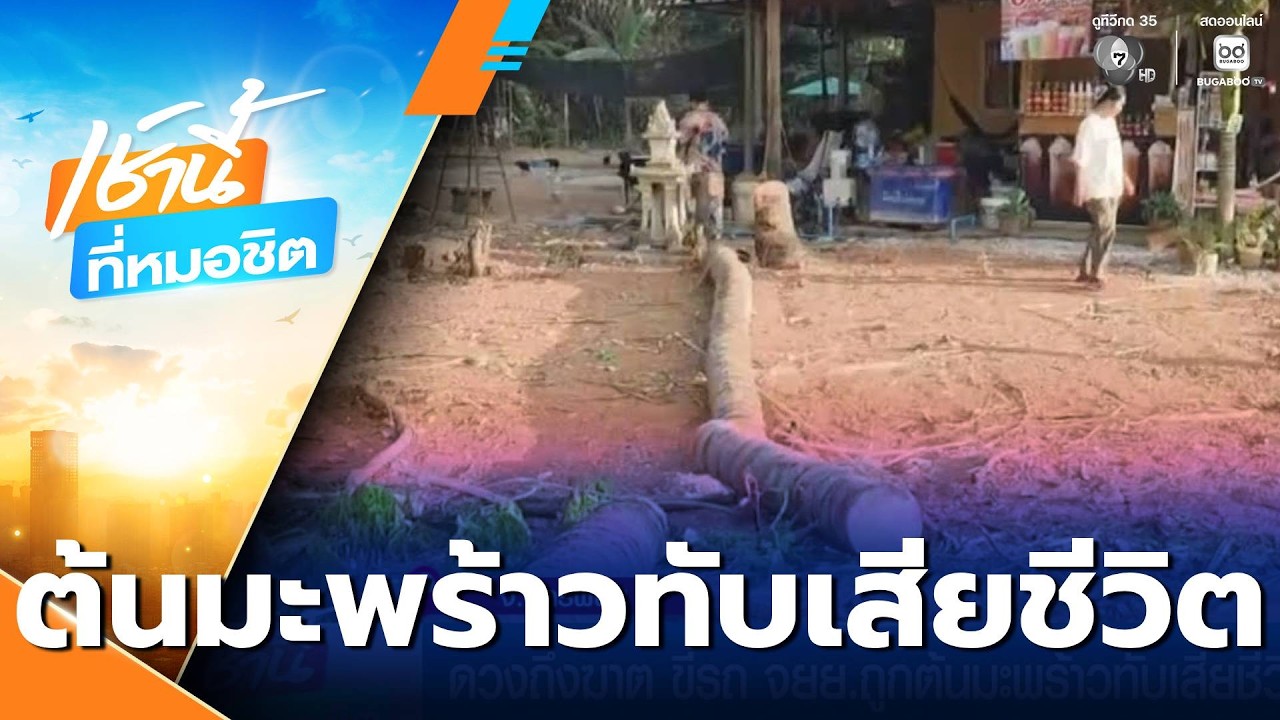 ดวงถึงฆาต ขี่รถ จยย.ถูกต้นมะพร้าวทับเสียชีวิต | เช้านี้ที่หมอชิต
