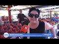 Агресия и отговорност, Денят започва, 12.08.2026