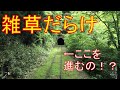 【最終が15時台】木次線最過疎区間の現状がヤバすぎる。出雲横田→備後落合　乗車記