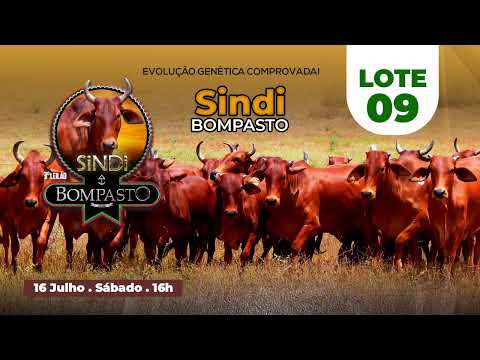 LOTE 09 -  MANGABA BOMPASTO