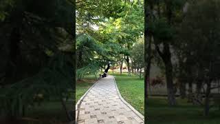 Crack The Floor By Chinese Cute Girl