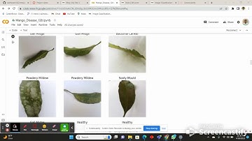 Image Classification: Mango Leaf Disease Dataset