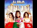 Dj salim royal rai party 2