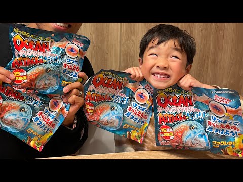 オーシャンアタック トイザらスで買った海の生き物 何が出てくるかな るたししチャンネル