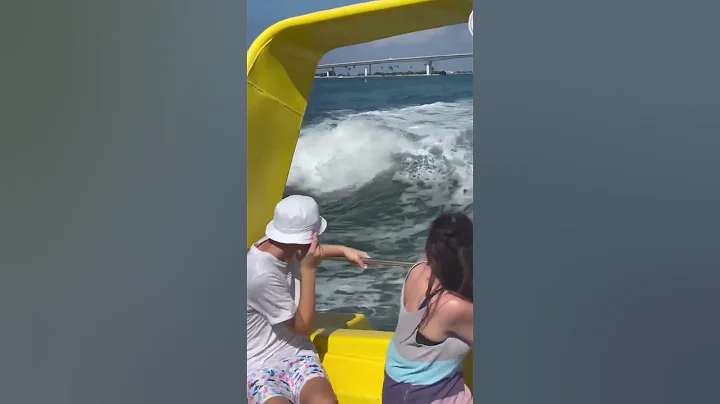 Surfing Dolphins