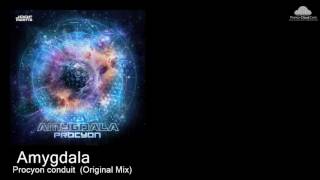 Jm 105  Amygdala   Procyon Conduit  original Mix various