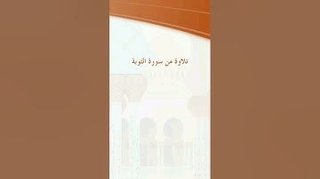 تلاوة من سورة التوبة 71 - 72