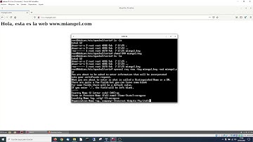 Configuración HTTPS en Debian 10