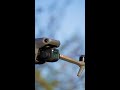10 REASONS to get the DJI ENTERPRISE DRONES