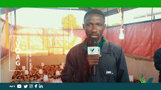 Yetu 05 Mradi Unaowapa Vijana Nafasi Ya Kufuga Kuku Kibiashara Abdallah Salim