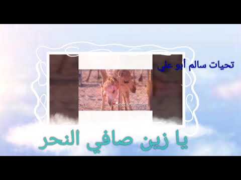 علي بن روغه يا زين صافي النحر