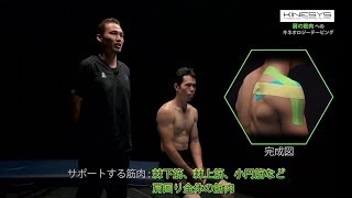 スポーツの現場で使える！キネシオロジーテープの貼り方　「肩全体の筋肉」　【テーピング】