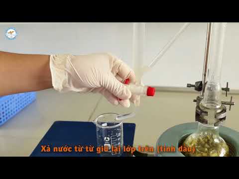 Video Chưng cất tinh dầu bằng phương pháp chưng cất lôi cuốn... - youtube
