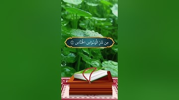قُلْ أَعُوذُ بِرَبِّ النَّاسِ 💚سورة الناس بصوت جميل جدا 🦋حالات واتس أب دينية مؤثرة 💛⚘️🌿