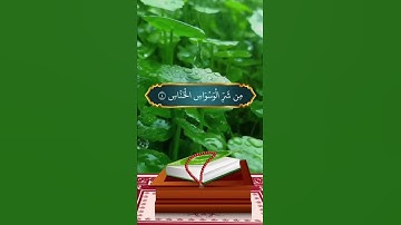 قُلْ أَعُوذُ بِرَبِّ النَّاسِ 💚سورة الناس بصوت جميل جدا 🦋حالات واتس أب دينية مؤثرة 💛⚘️🌿